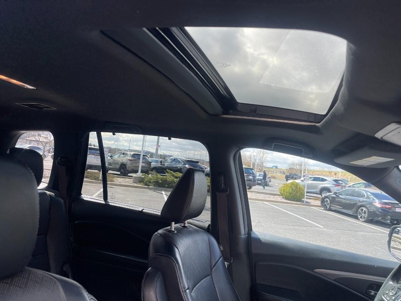 Honda Passport Vehicle Image 10