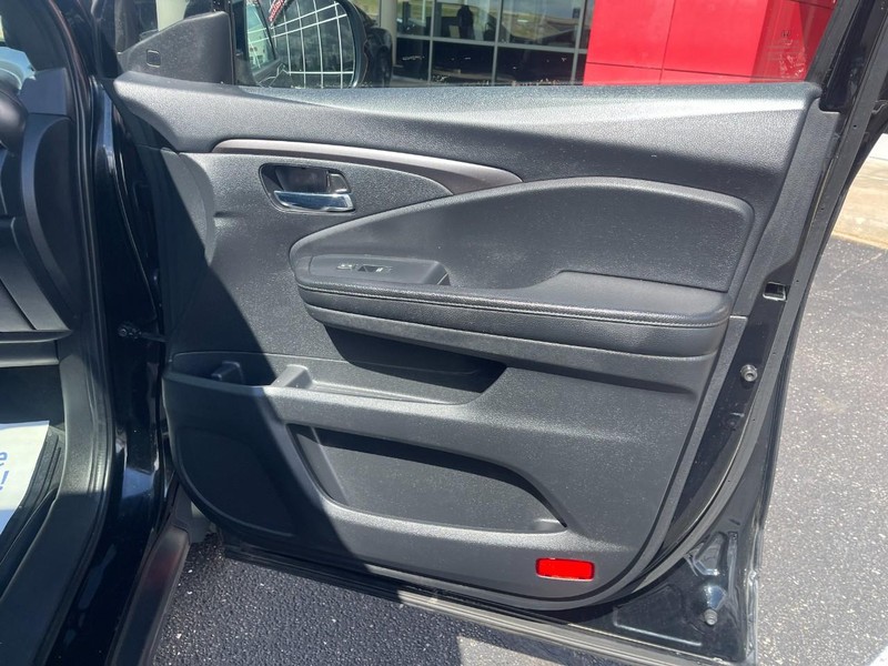 Honda Passport Vehicle Image 13