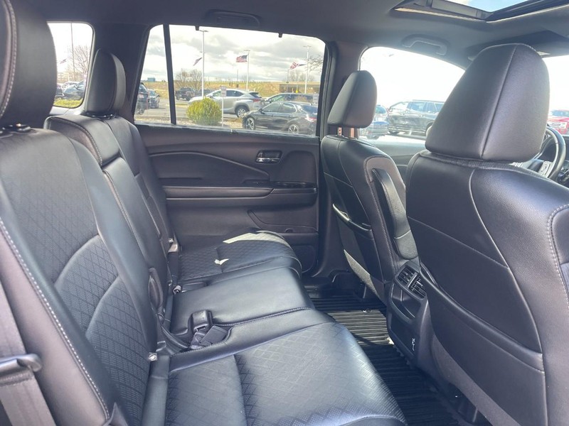 Honda Passport Vehicle Image 14