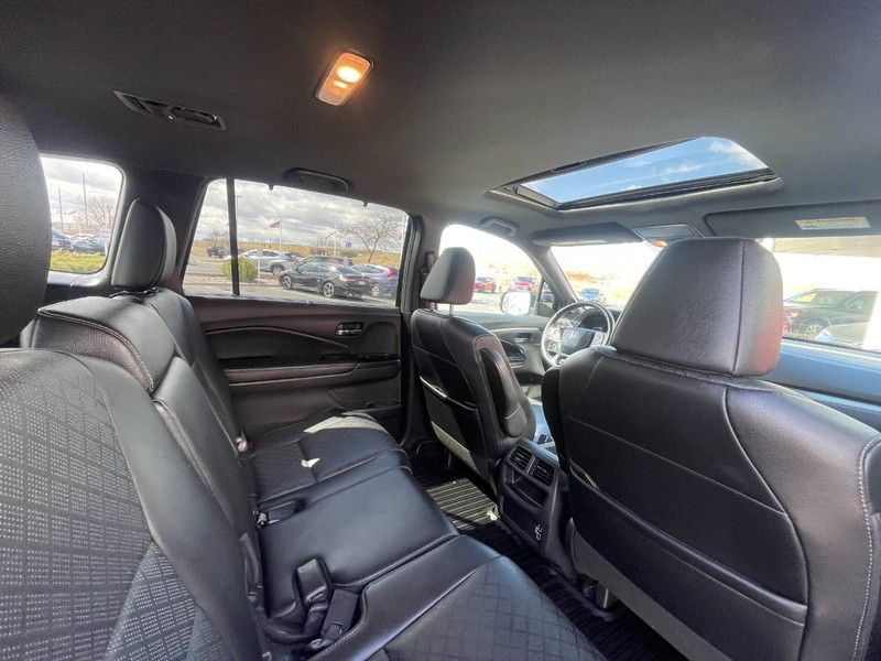Honda Passport Vehicle Image 15