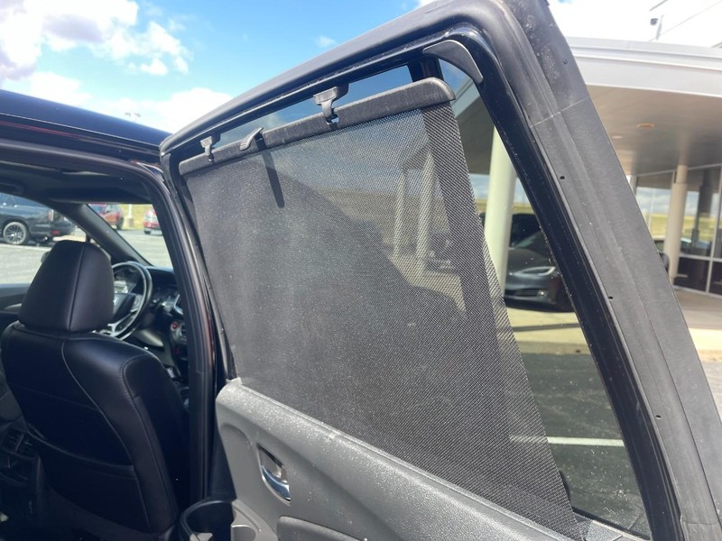 Honda Passport Vehicle Image 17