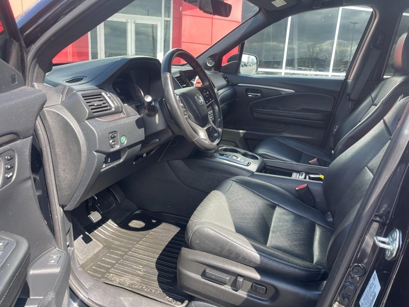 Honda Passport Vehicle Image 22