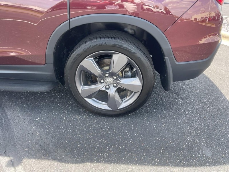 Honda Passport Vehicle Image 06