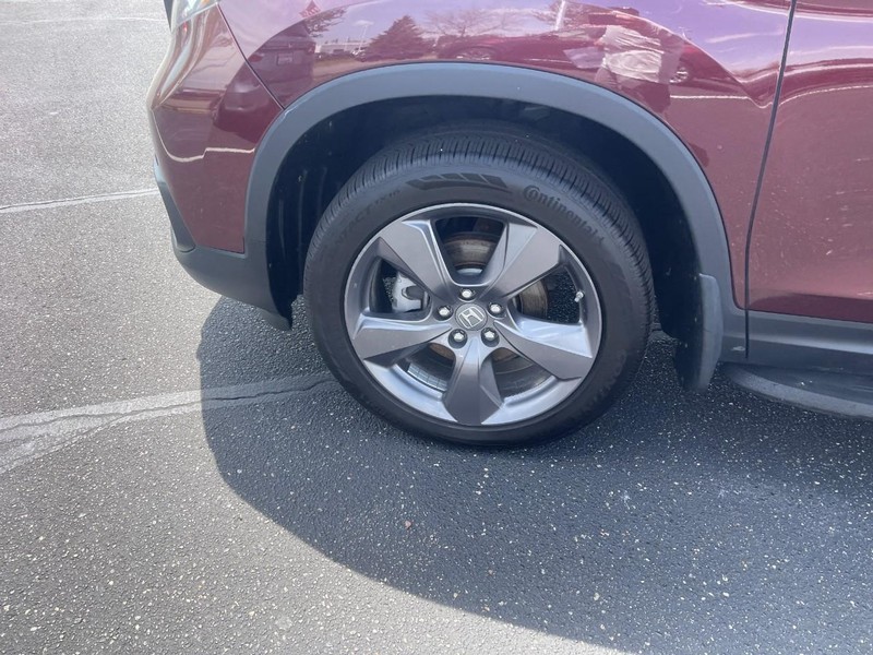 Honda Passport Vehicle Image 07