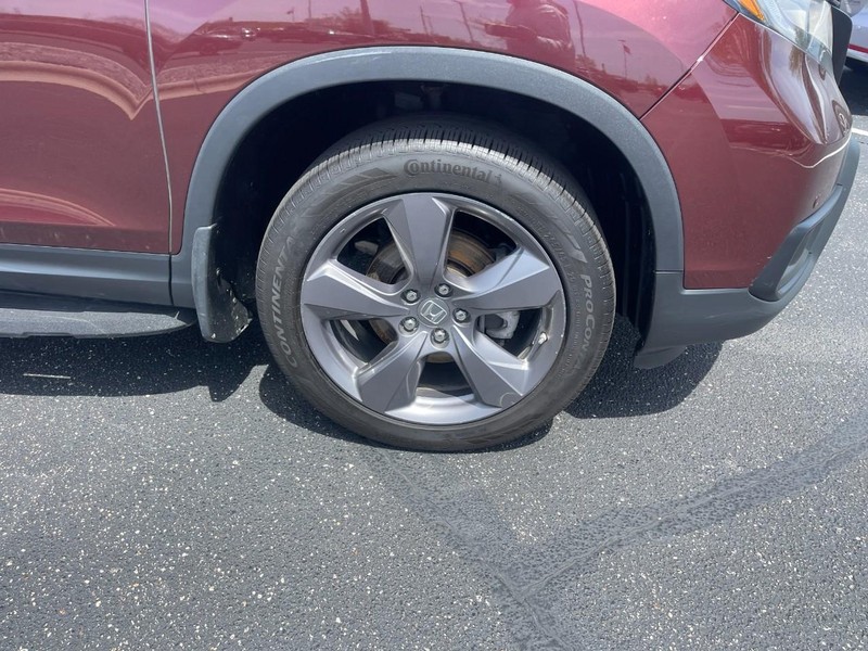 Honda Passport Vehicle Image 08