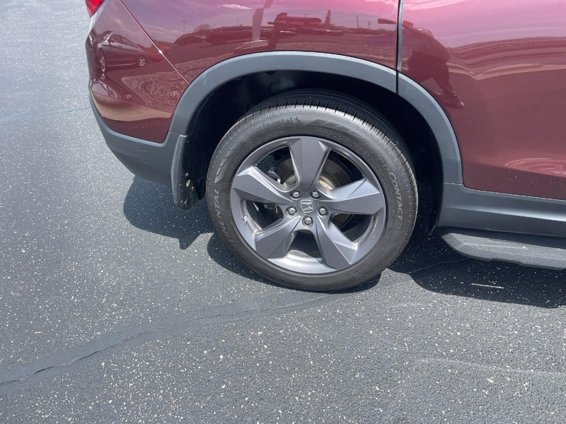 Honda Passport Vehicle Image 09
