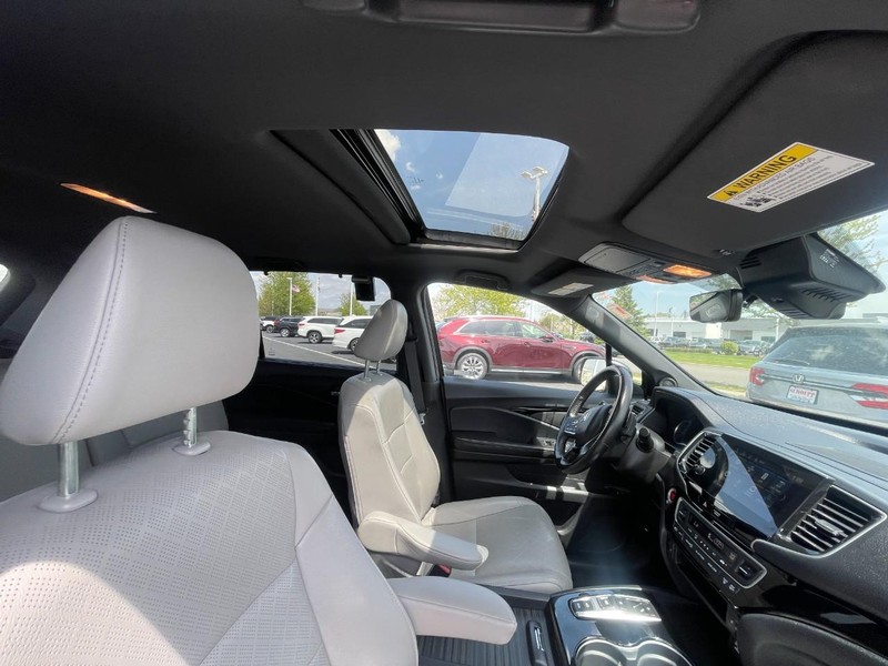Honda Passport Vehicle Image 11