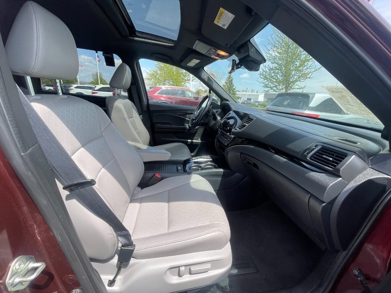 Honda Passport Vehicle Image 12