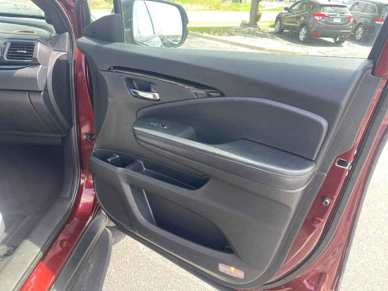 Honda Passport Vehicle Image 13