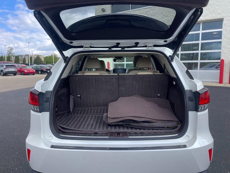 Lexus RX Vehicle Image 14