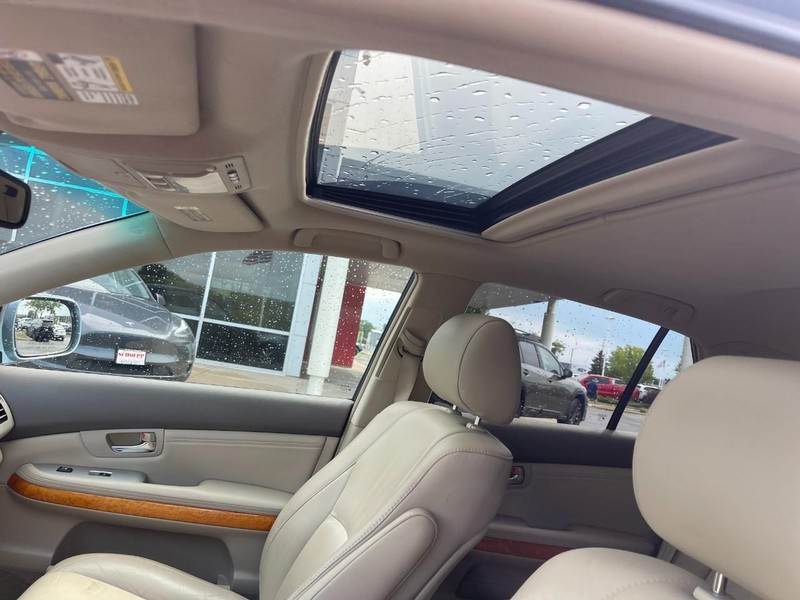 Lexus RX 350 Vehicle Image 06