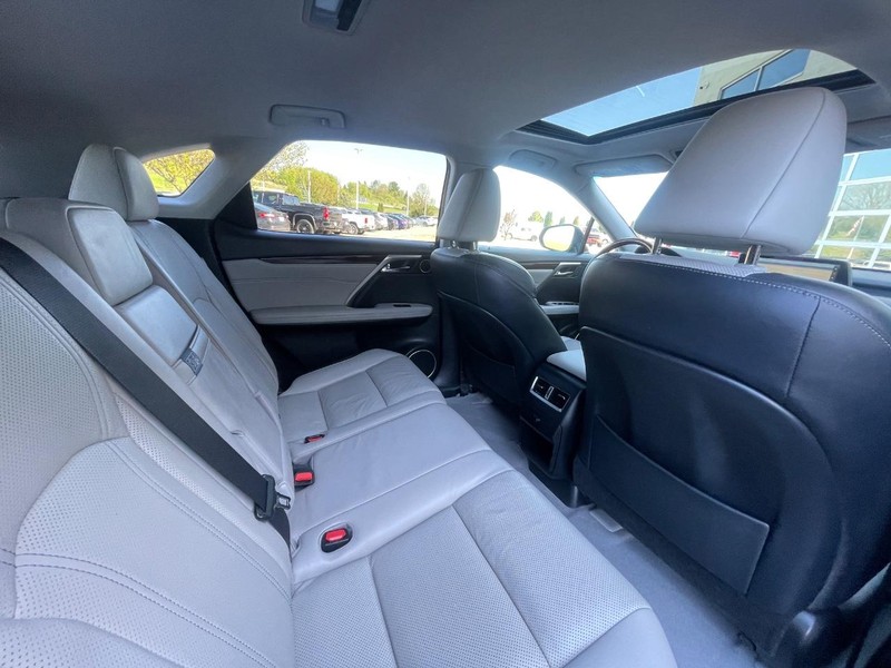 Lexus RX Vehicle Image 14