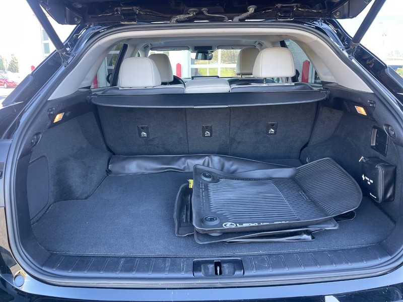 Lexus RX Vehicle Image 18