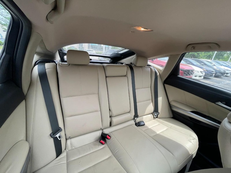 Honda Crosstour Vehicle Image 06