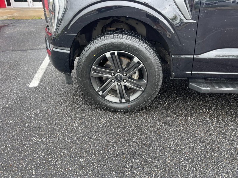 Ford F-150 Vehicle Image 06