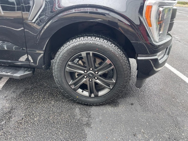 Ford F-150 Vehicle Image 07