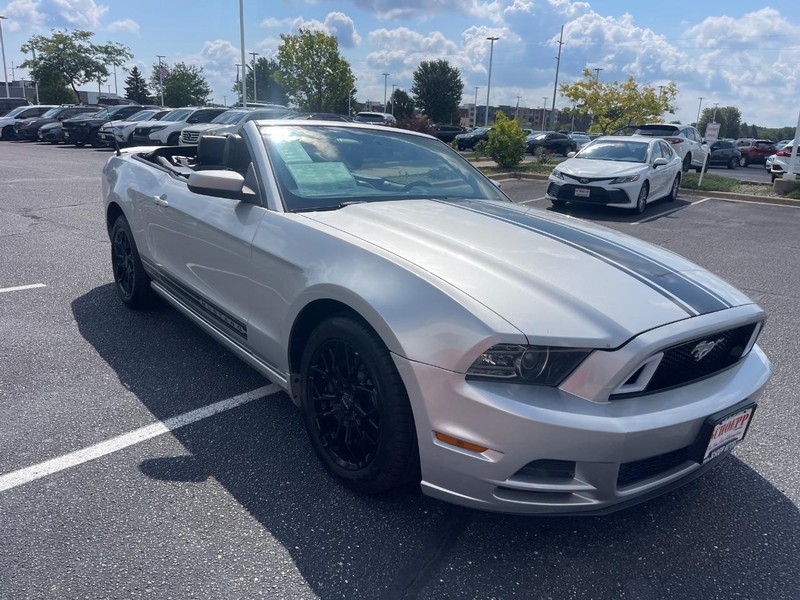 Ford Mustang Vehicle Image 02