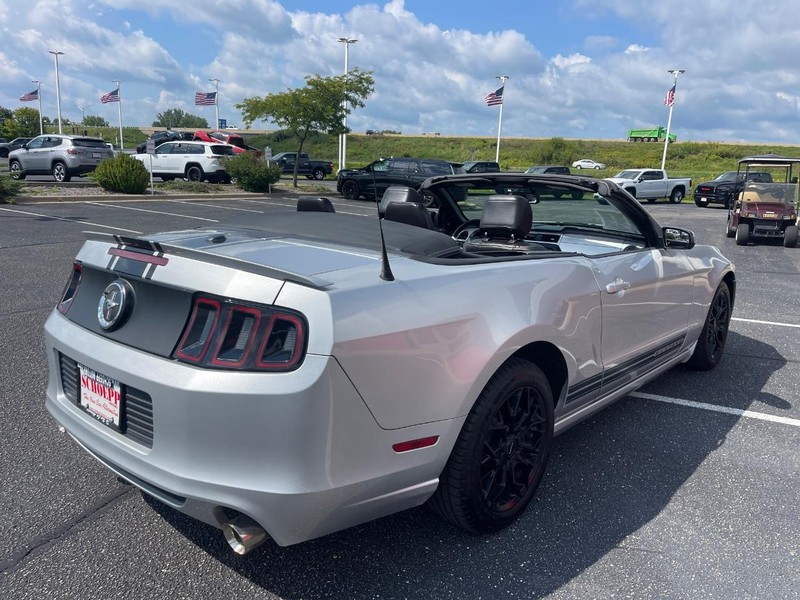 Ford Mustang Vehicle Image 03