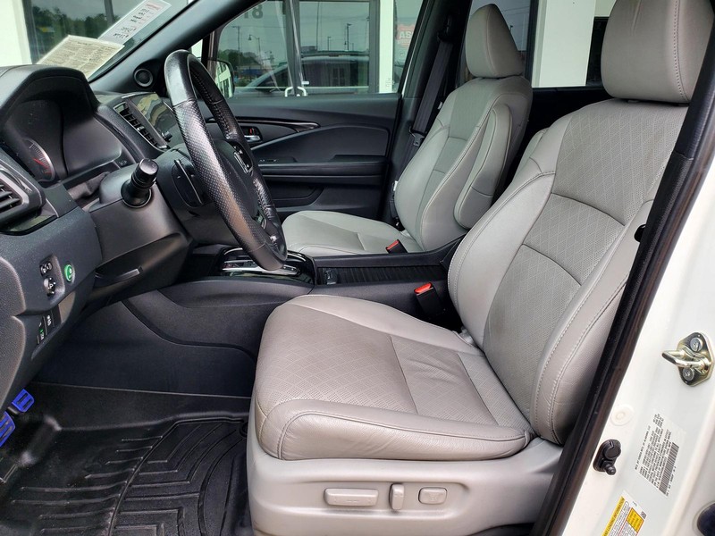 Honda Passport Vehicle Image 12