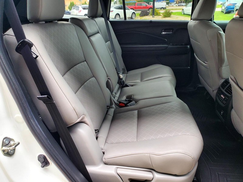 Honda Passport Vehicle Image 14