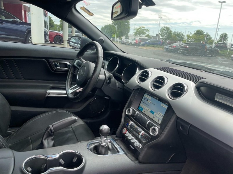 Ford Mustang Vehicle Image 02
