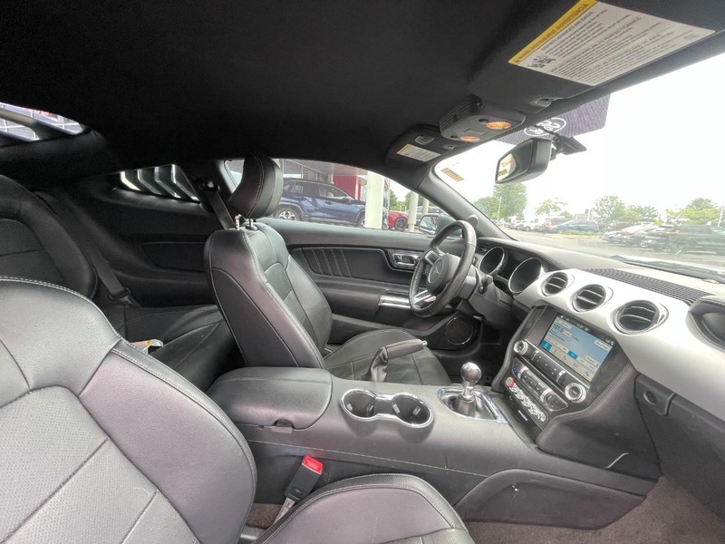 Ford Mustang Vehicle Image 03