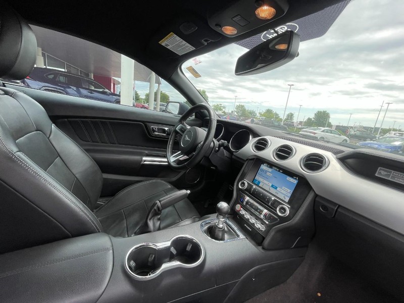 Ford Mustang Vehicle Image 04