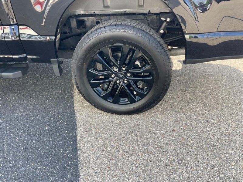 Ford F-150 Vehicle Image 05