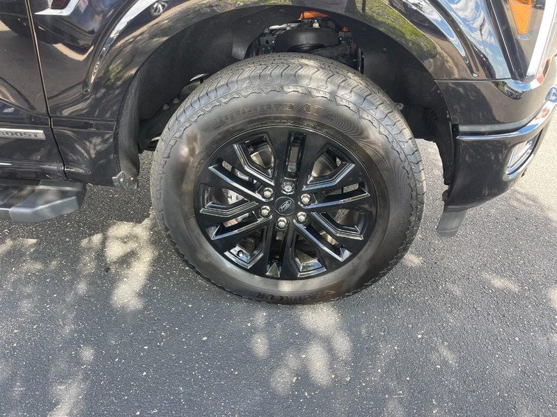 Ford F-150 Vehicle Image 07