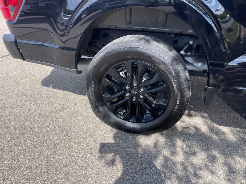 Ford F-150 Vehicle Image 08