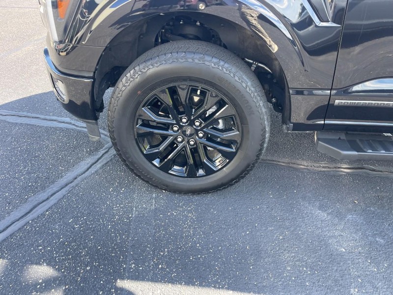 Ford F-150 Vehicle Image 06