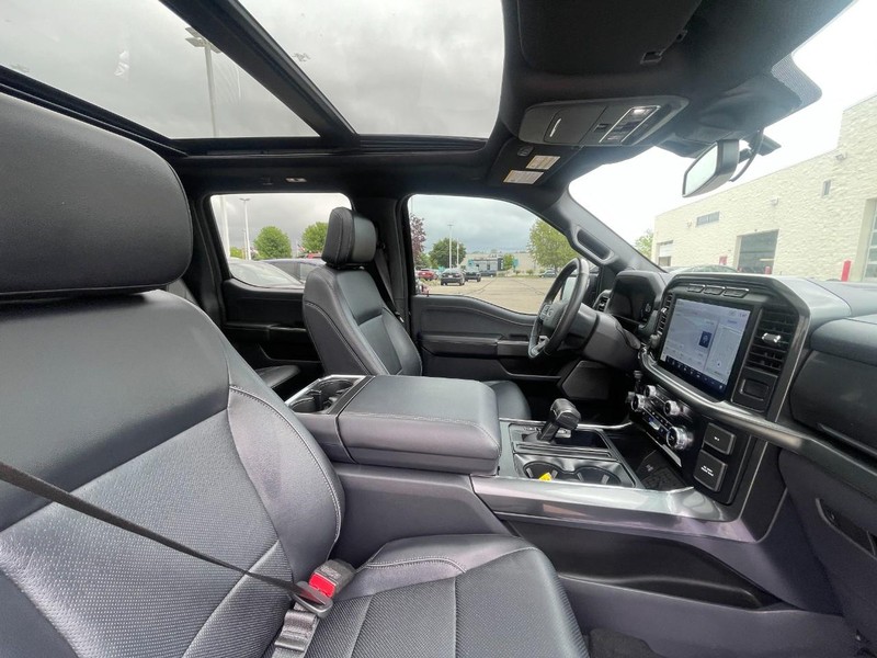 Ford F-150 Vehicle Image 04