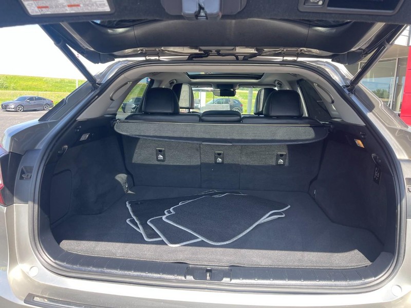 Lexus RX Vehicle Image 19