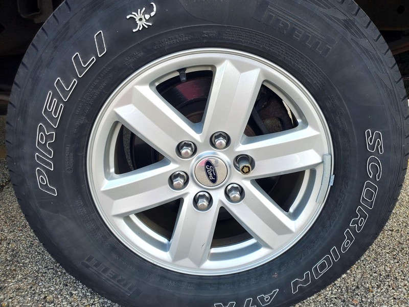 Ford F-150 Vehicle Image 15