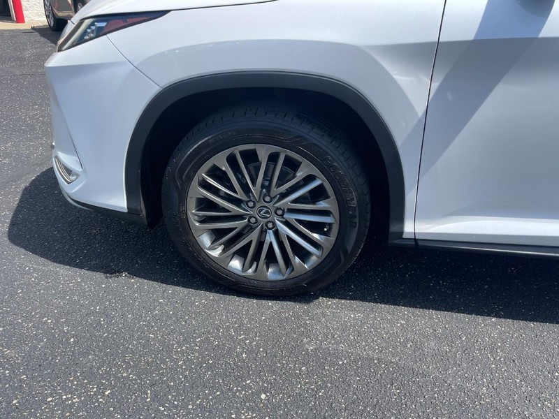 Lexus RX Vehicle Image 06