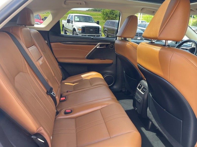 Lexus RX Vehicle Image 13