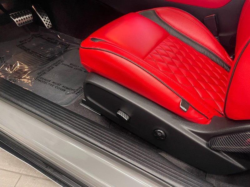 Dodge Challenger Vehicle Image 22