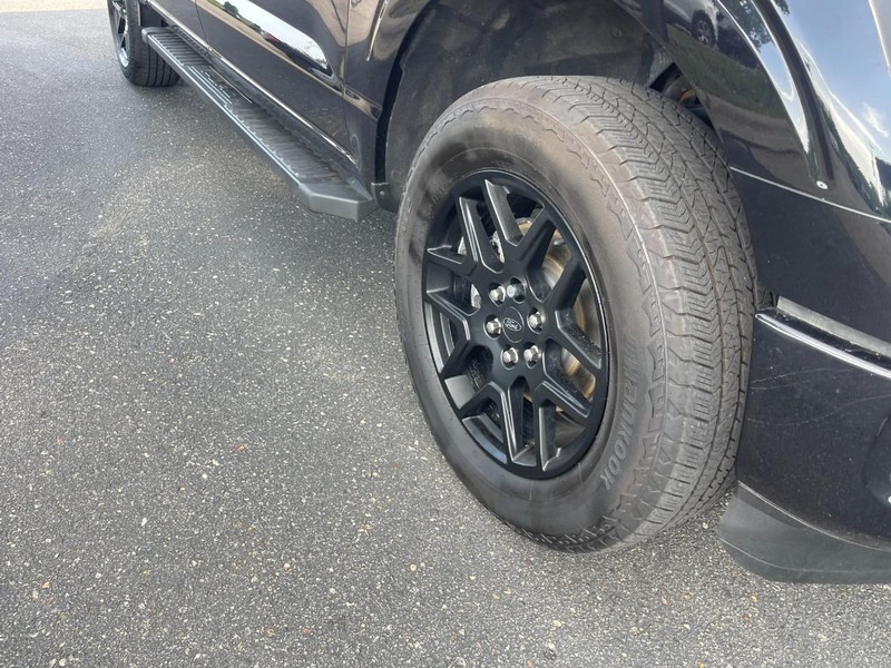 Ford F-150 Vehicle Image 07