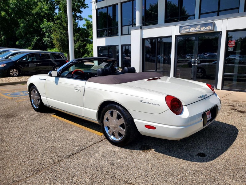 Ford Thunderbird Vehicle Image 20