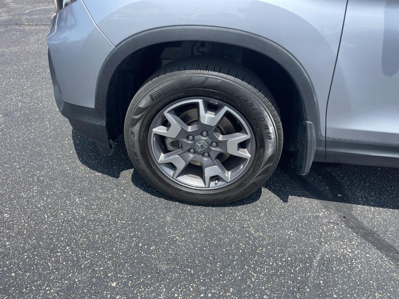Honda Passport Vehicle Image 06