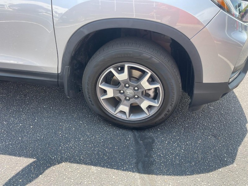 Honda Passport Vehicle Image 07