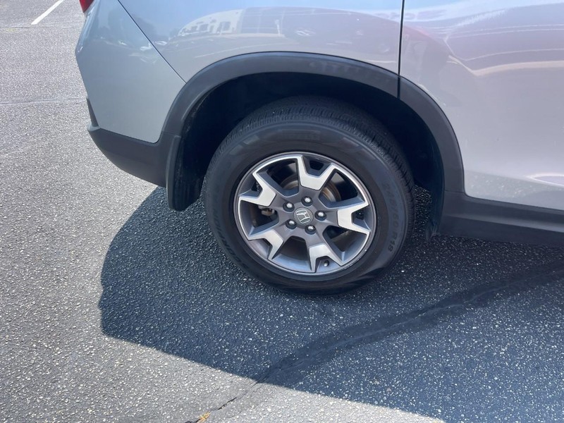 Honda Passport Vehicle Image 08