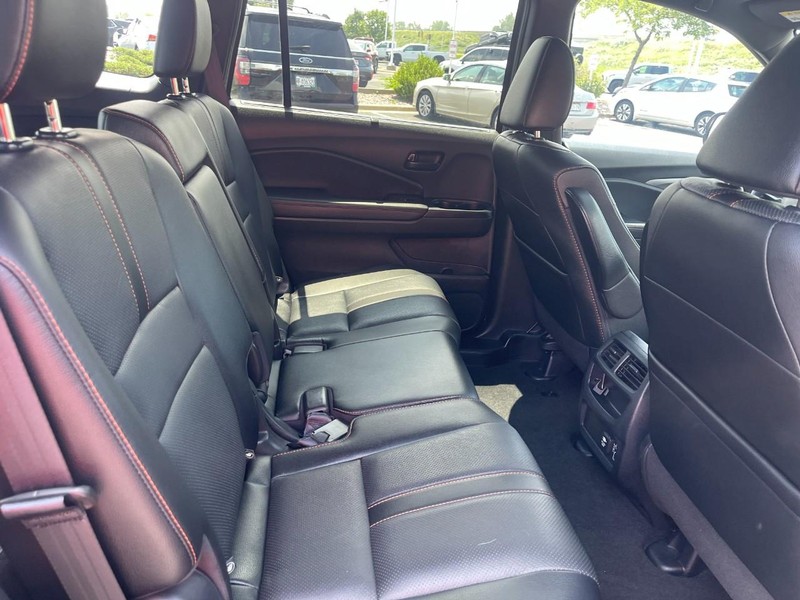 Honda Passport Vehicle Image 13