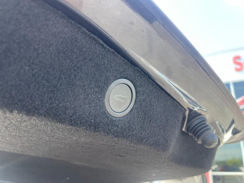 Tesla Model 3 Vehicle Image 14