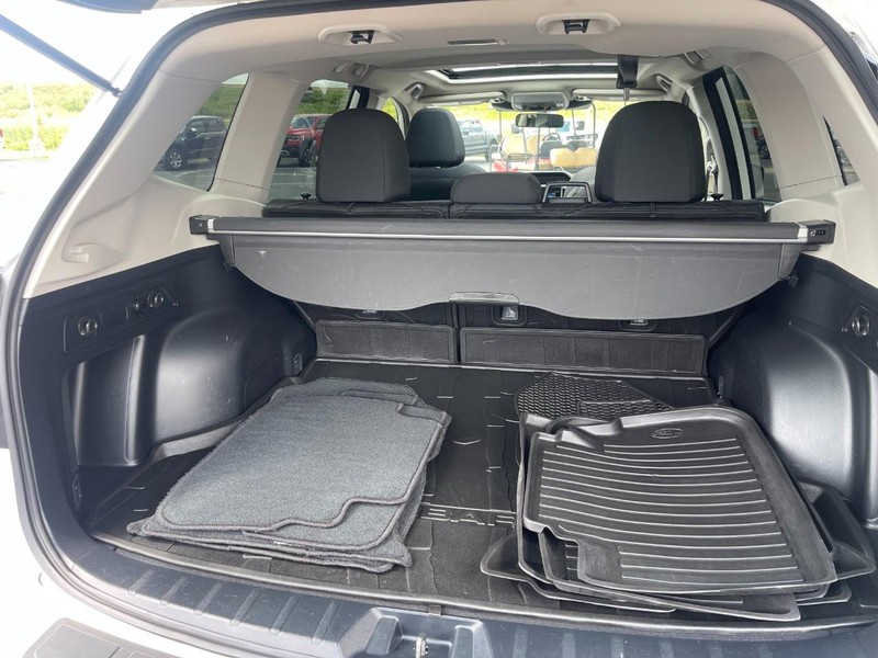 Subaru Forester Vehicle Image 16