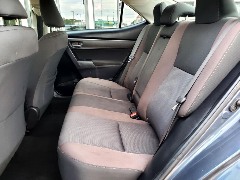 Toyota Corolla Vehicle Image 15