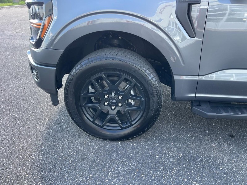 Ford F-150 Vehicle Image 06