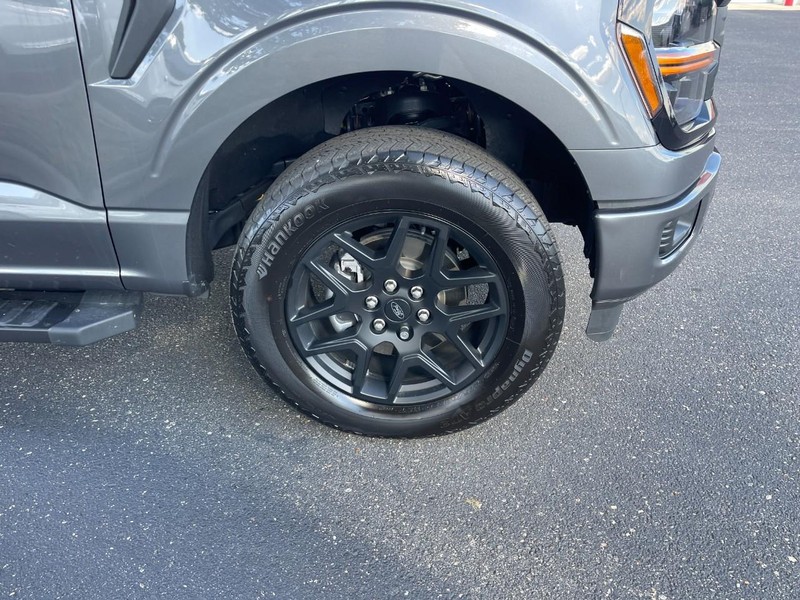 Ford F-150 Vehicle Image 07