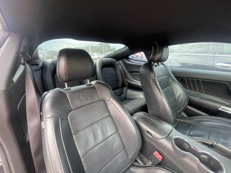 Ford Mustang Vehicle Image 04