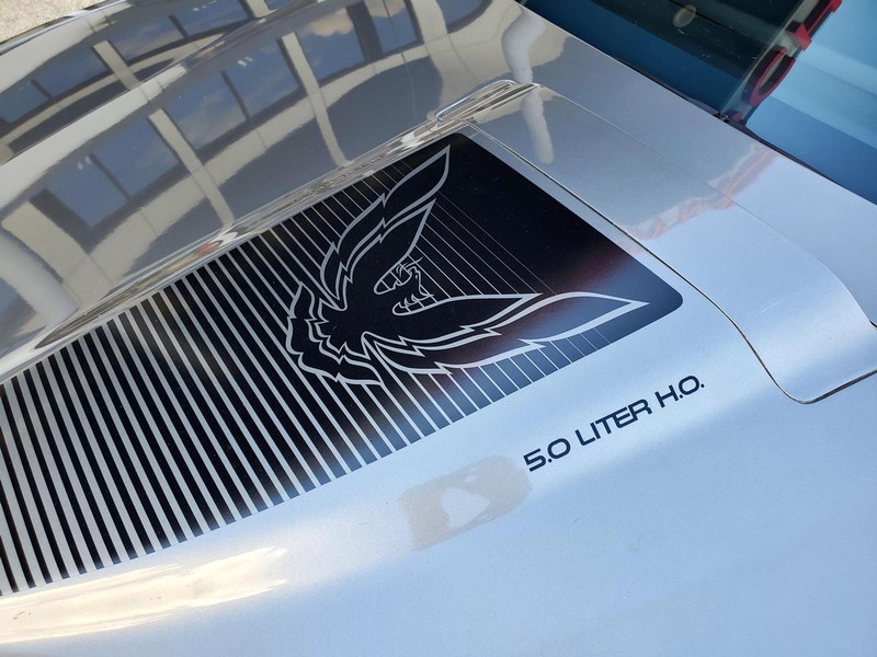 Pontiac Firebird Vehicle Image 18